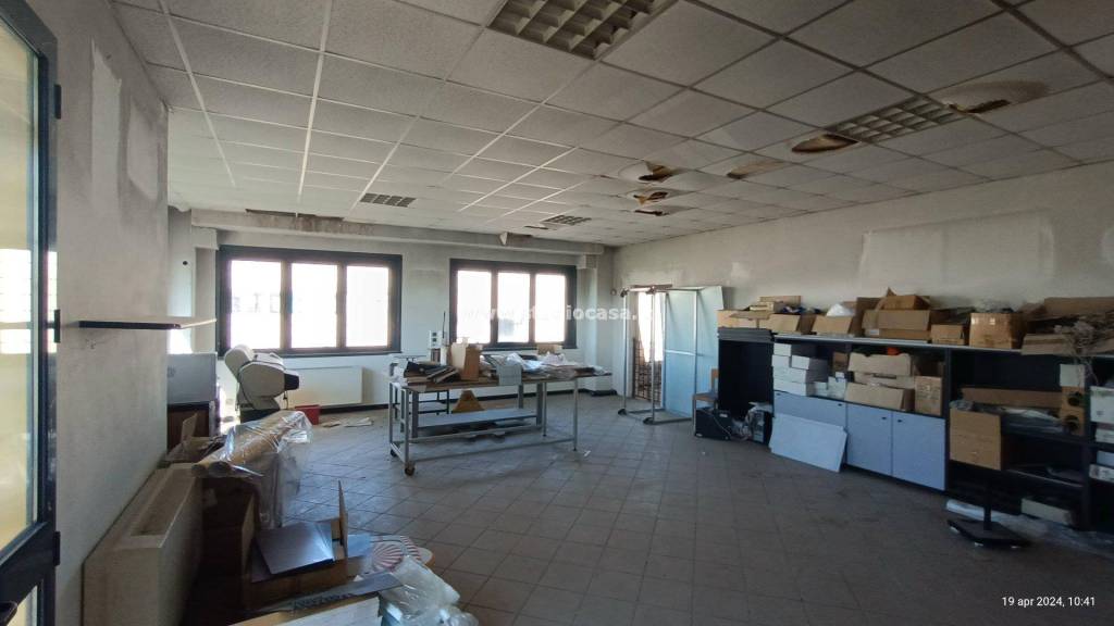 immagine annuncio 3 di 15