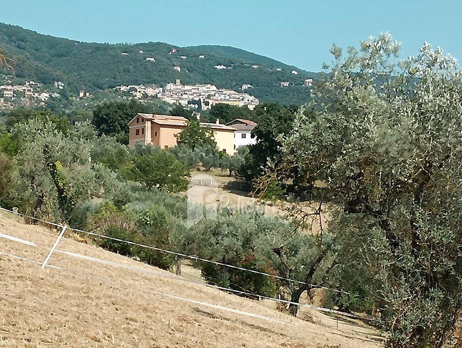 immagine annuncio 10 di 12