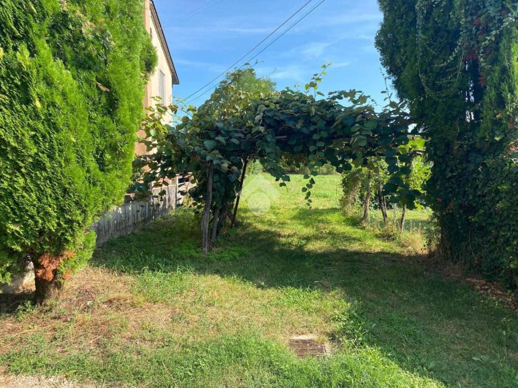 immagine annuncio 2 di 6