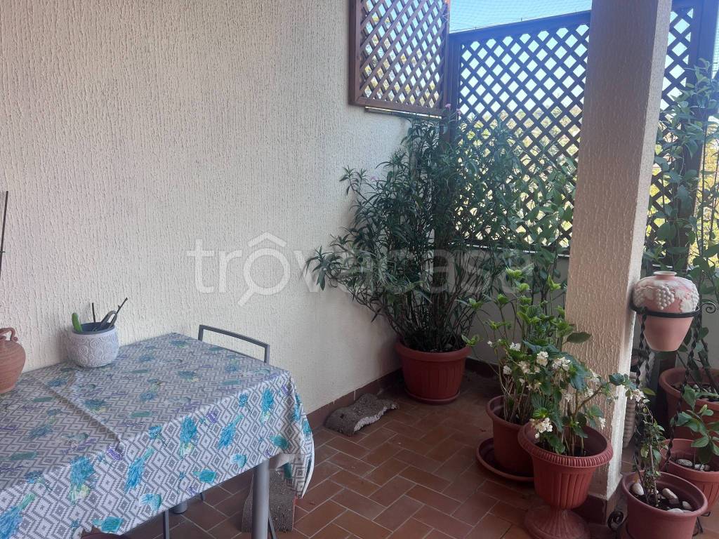 immagine annuncio 6 di 14