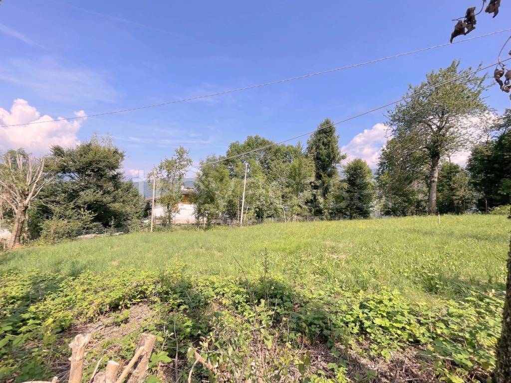 immagine annuncio 2 di 7