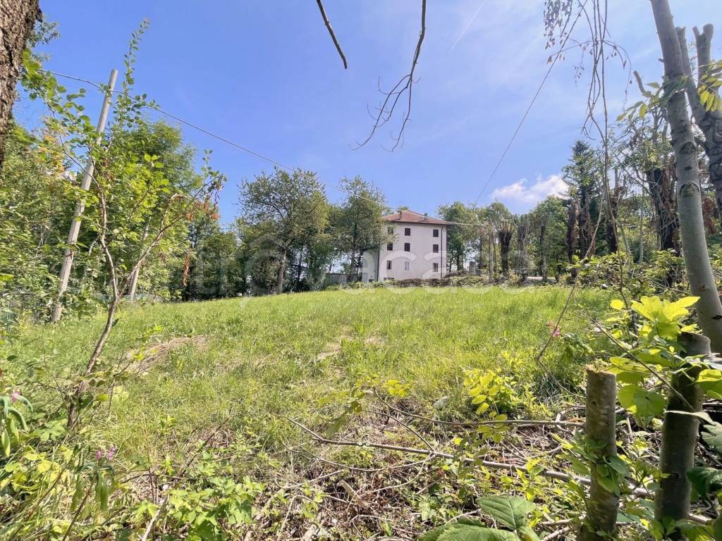 immagine annuncio 3 di 7