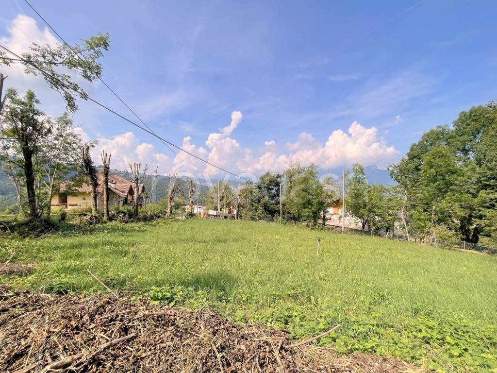 immagine annuncio 6 di 7