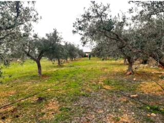 Terreno agricolo in vendita a orosei località canale longu-oroe