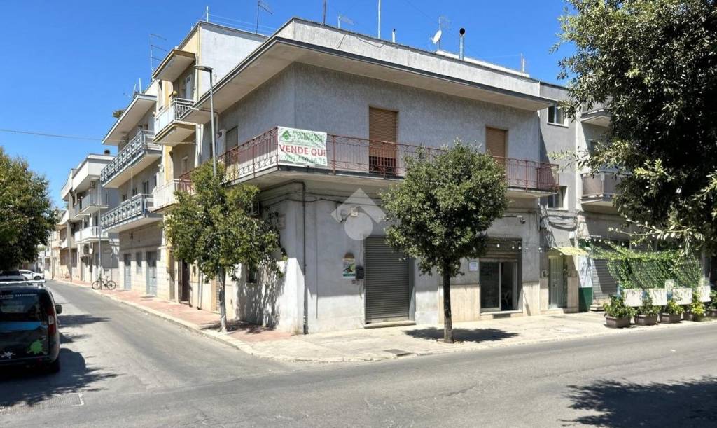 immagine annuncio 11 di 14