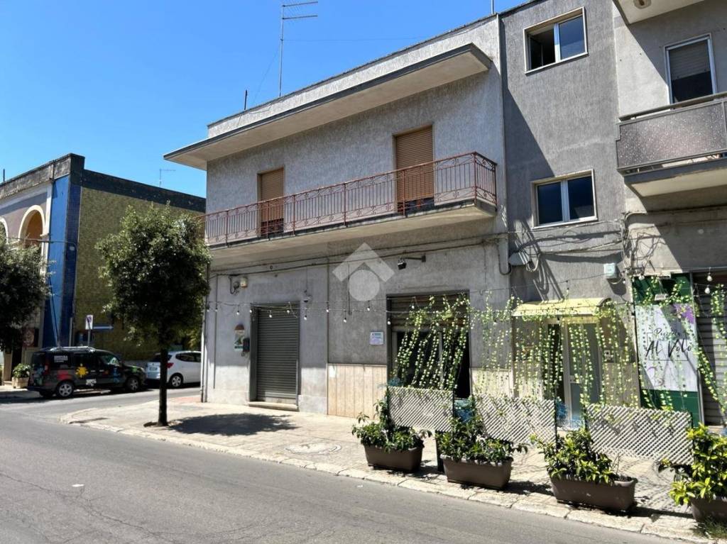 immagine annuncio 12 di 14