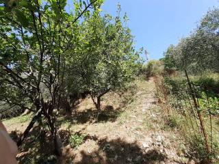 Terreno agricolo in vendita a bolano località tirolo