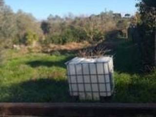 Terreno agricolo in vendita a follonica podere diaccio