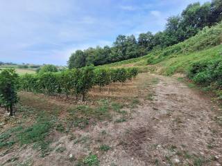 Terreno agricolo in vendita a cavriana 