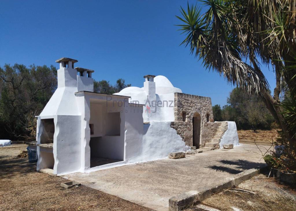 immagine annuncio 2 di 14