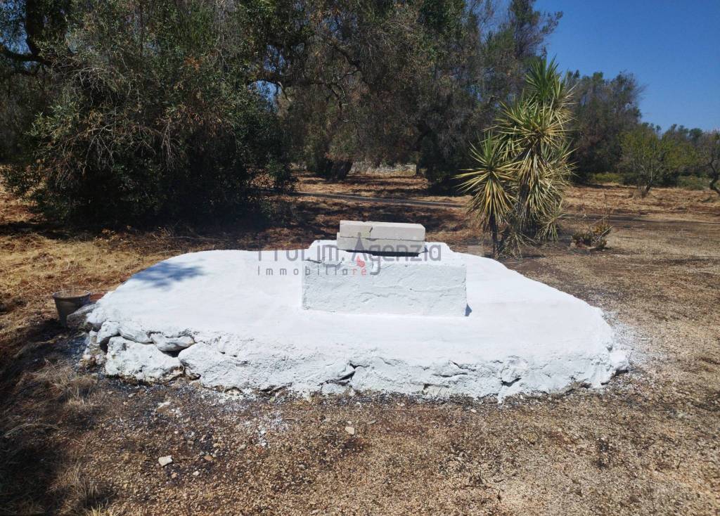 immagine annuncio 4 di 14