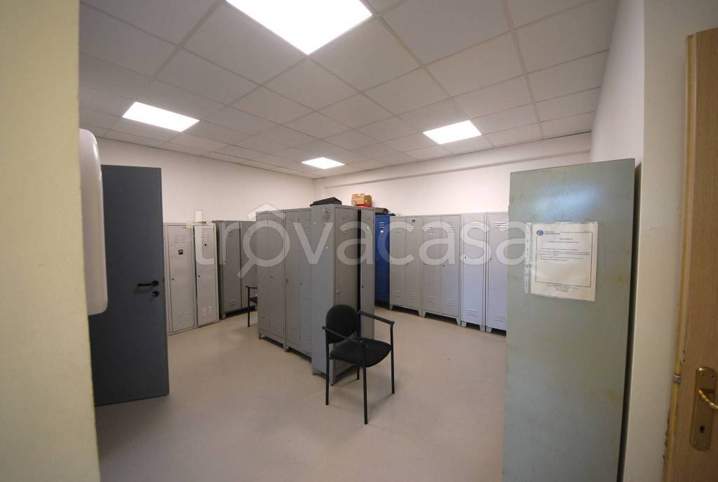 immagine annuncio 4 di 7