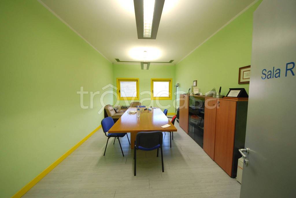immagine annuncio 7 di 12