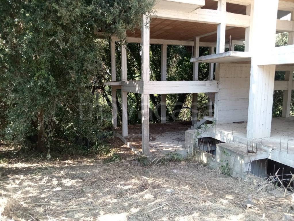 immagine annuncio 4 di 6