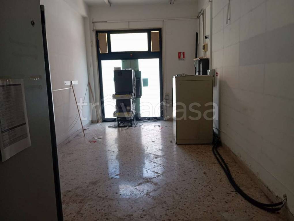 immagine annuncio 5 di 14