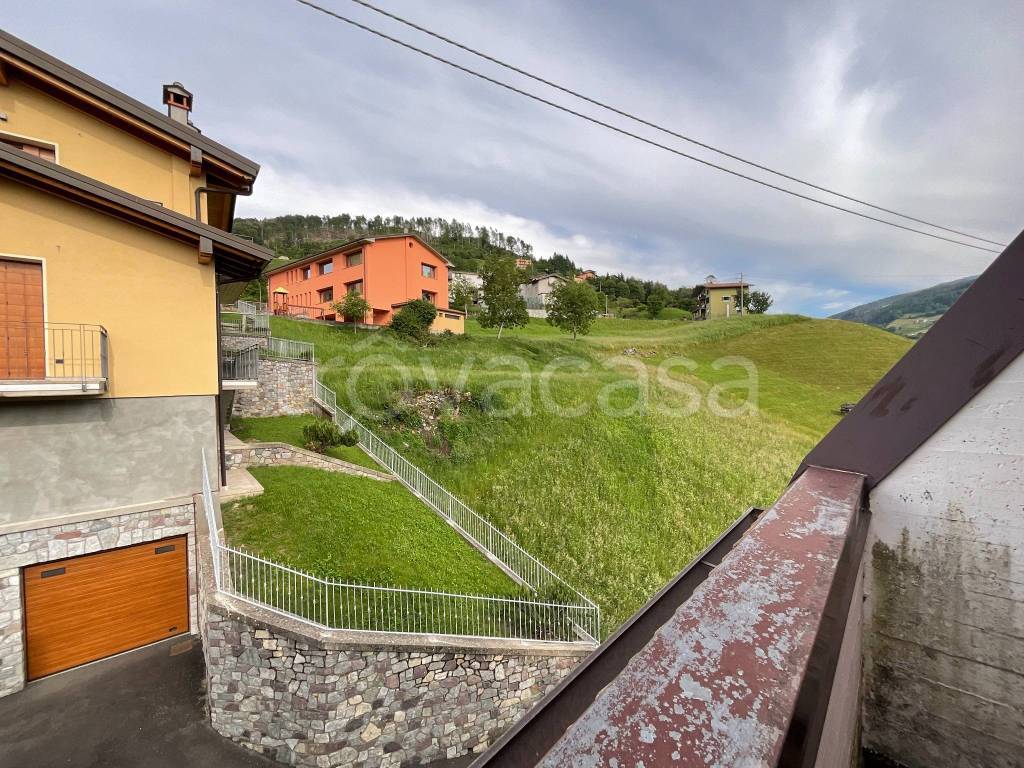immagine annuncio 11 di 14