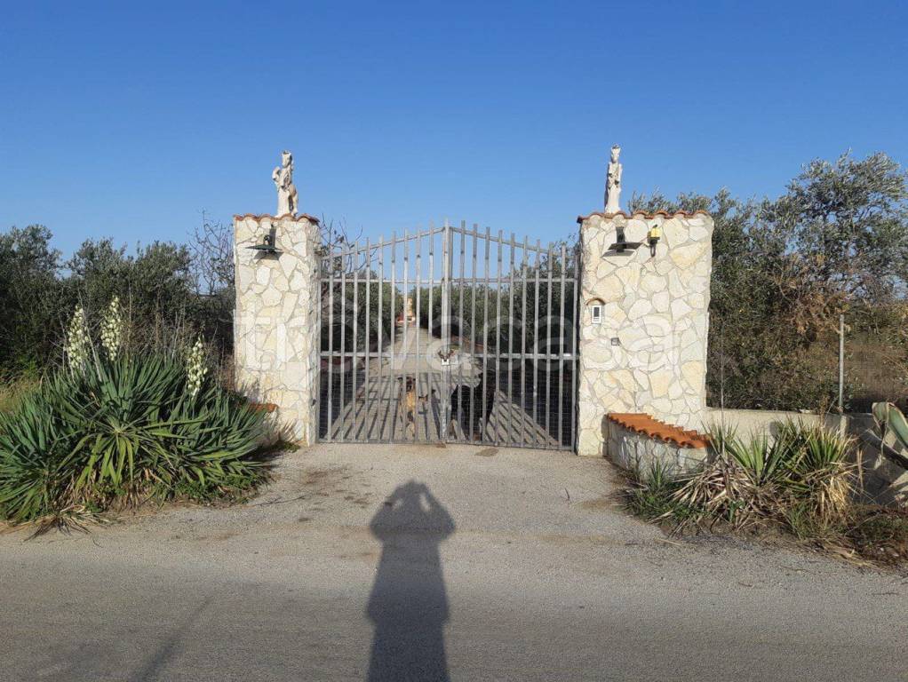 immagine annuncio 2 di 12