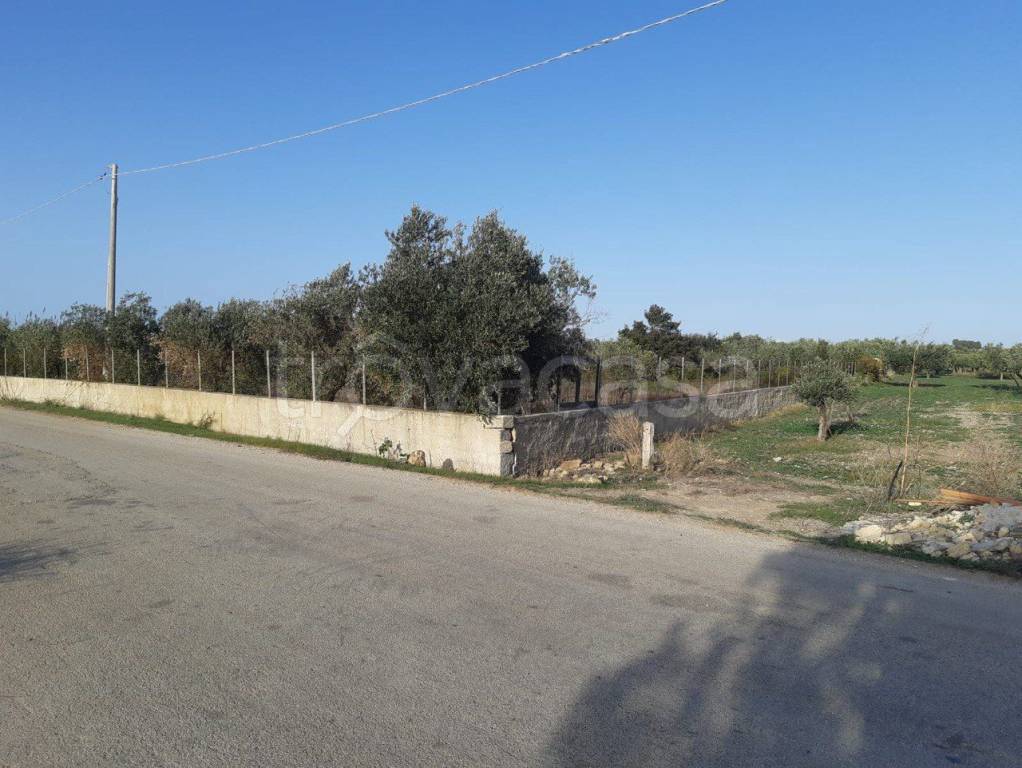 immagine annuncio 3 di 12