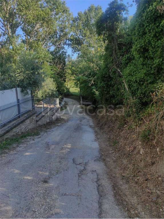 immagine annuncio 5 di 7