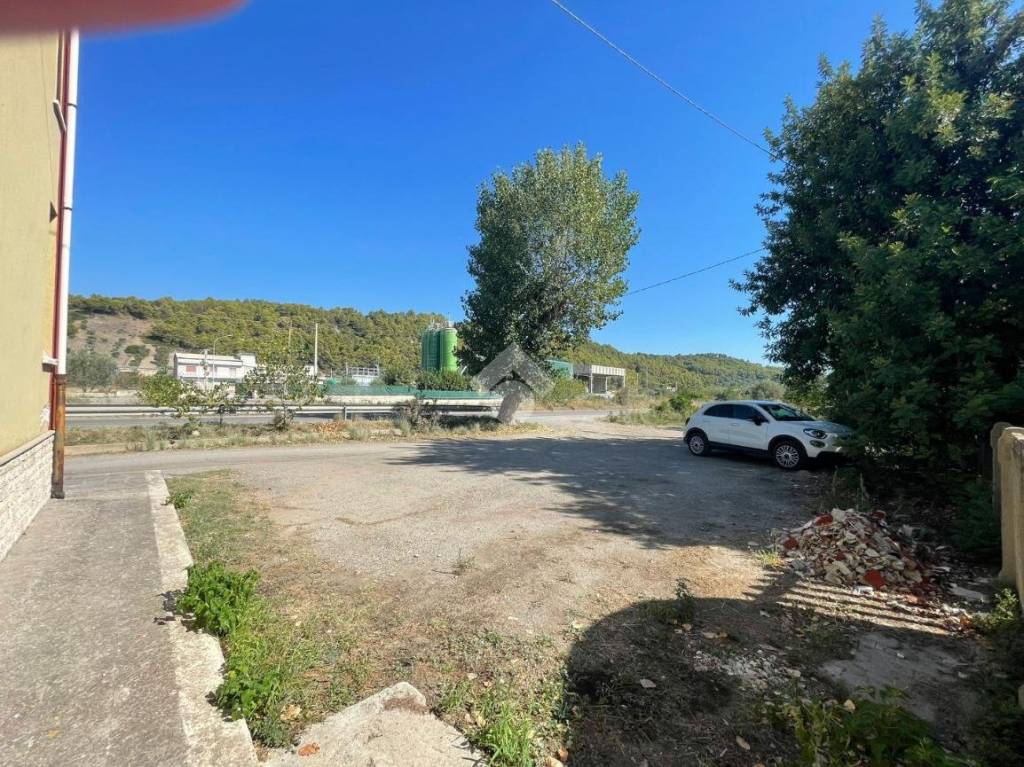 immagine annuncio 10 di 12