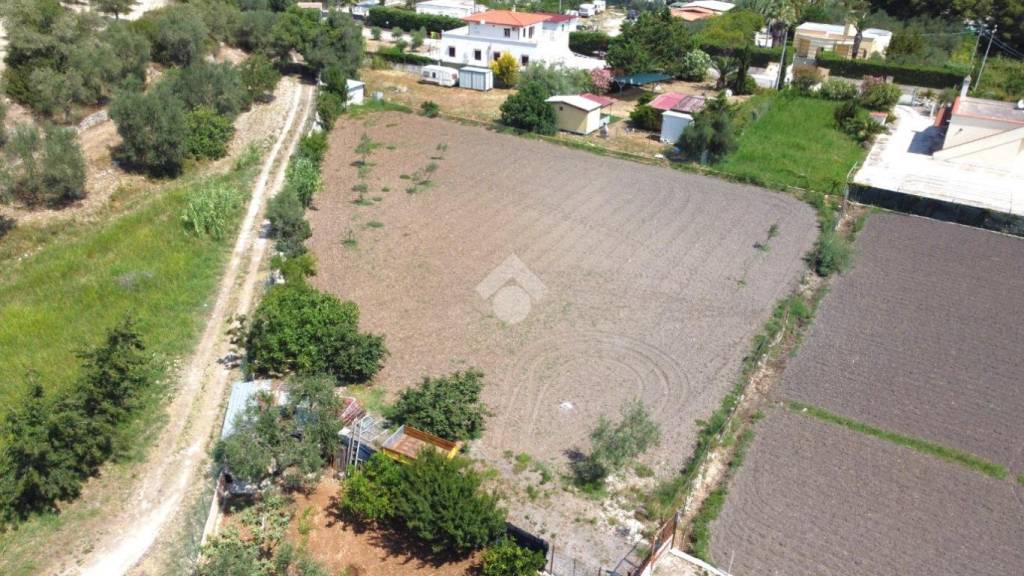 immagine annuncio 6 di 14