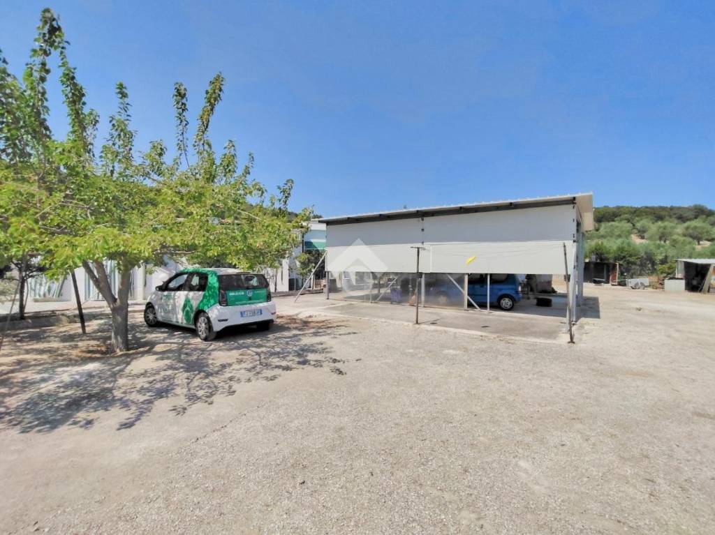 immagine annuncio 2 di 14