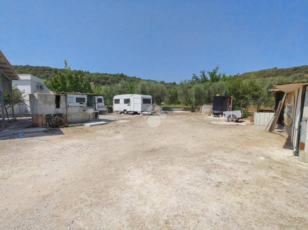 immagine annuncio 5 di 14