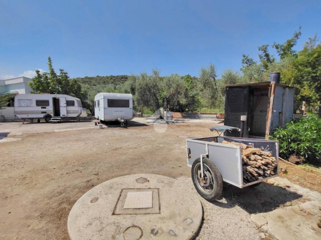 immagine annuncio 12 di 14