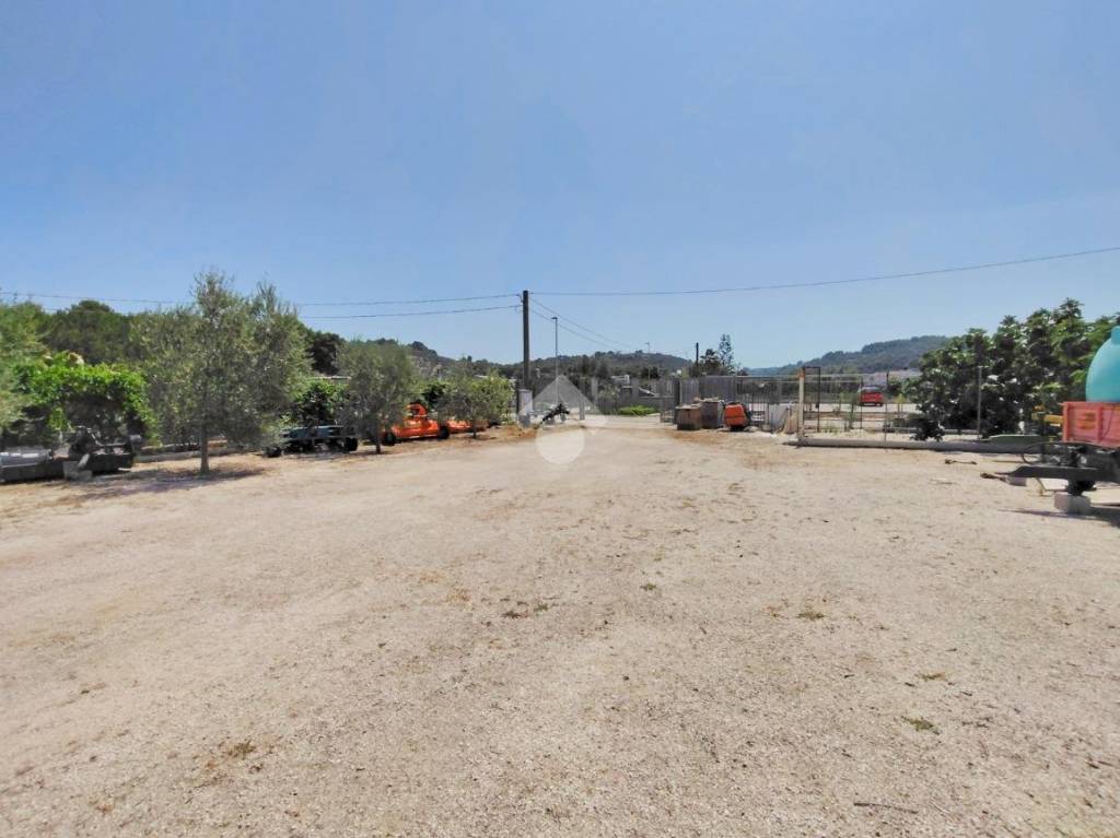 immagine annuncio 7 di 14