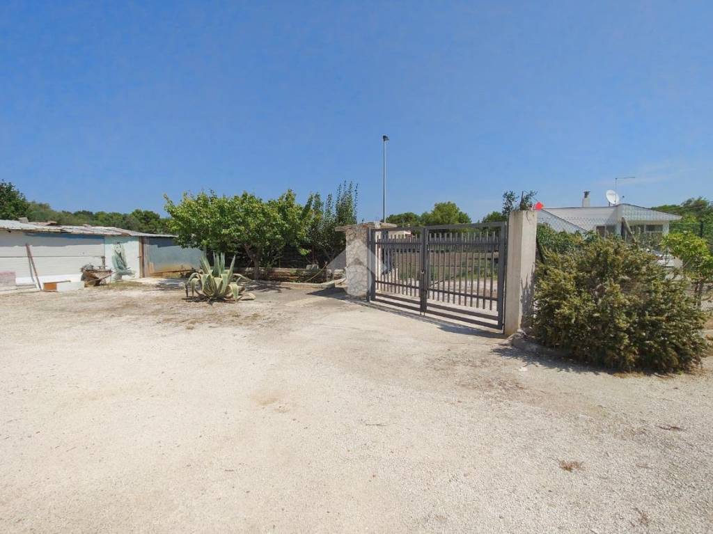 immagine annuncio 9 di 14