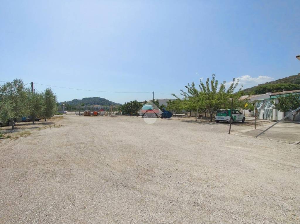 immagine annuncio 11 di 14