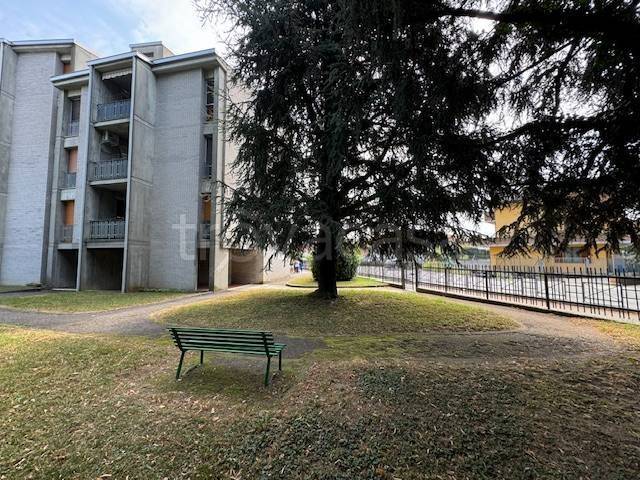 immagine annuncio 12 di 14