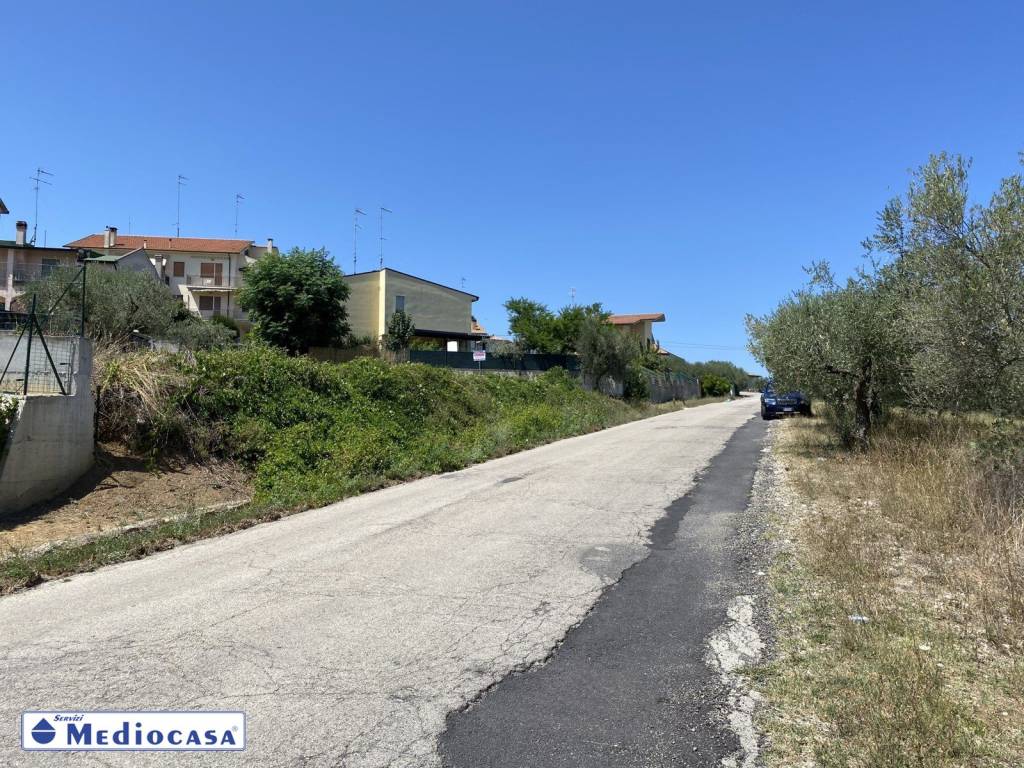 immagine annuncio 2 di 14