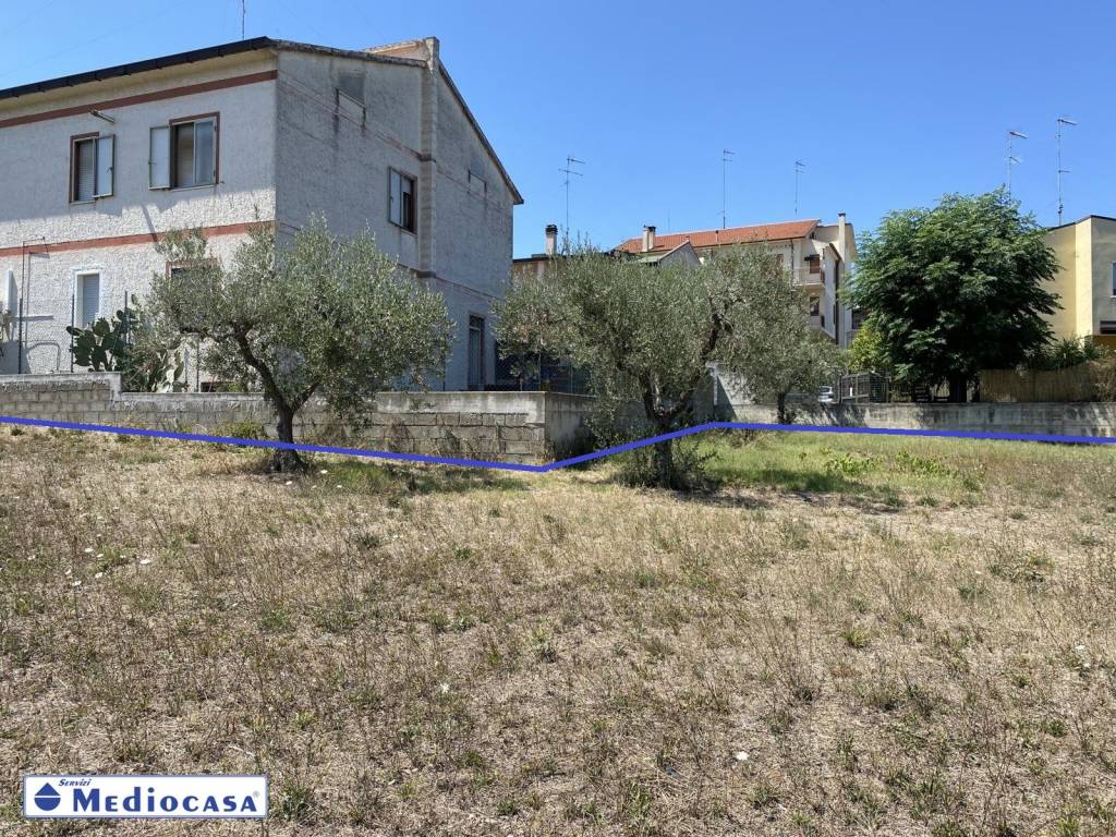 immagine annuncio 8 di 14