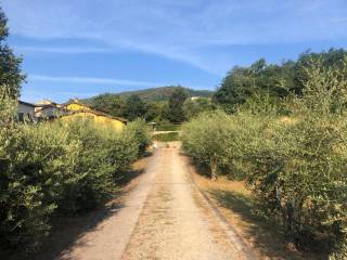 Villa in in vendita da privato a lucca via di arliano, 150