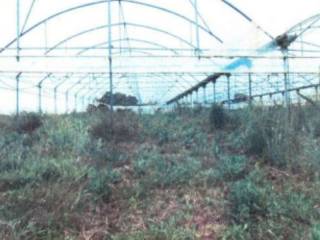 Terreno agricolo in vendita a bernalda contrada serramarina