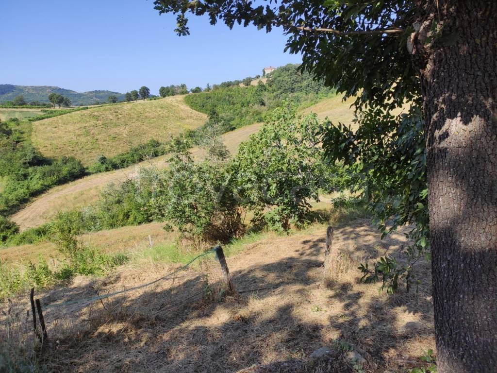 immagine annuncio 5 di 8