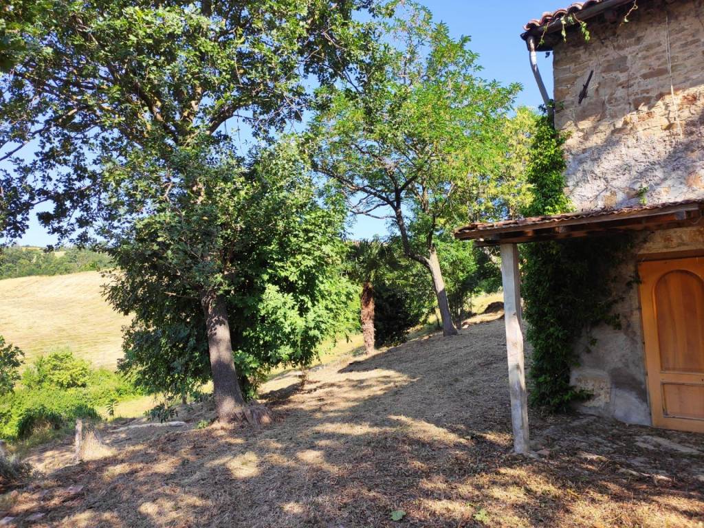 immagine annuncio 6 di 8