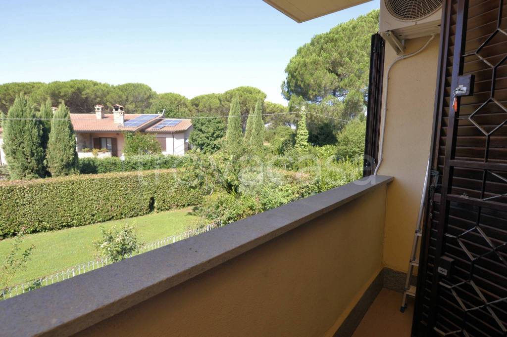 immagine annuncio 8 di 14