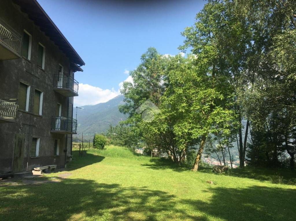 immagine annuncio 4 di 10