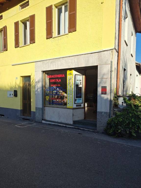 immagine annuncio 9 di 14