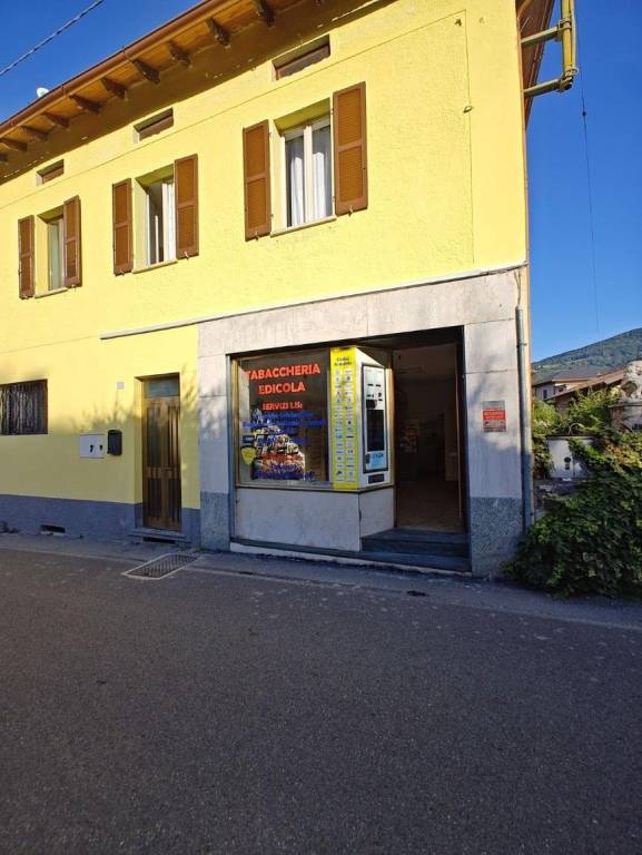 immagine annuncio 11 di 14