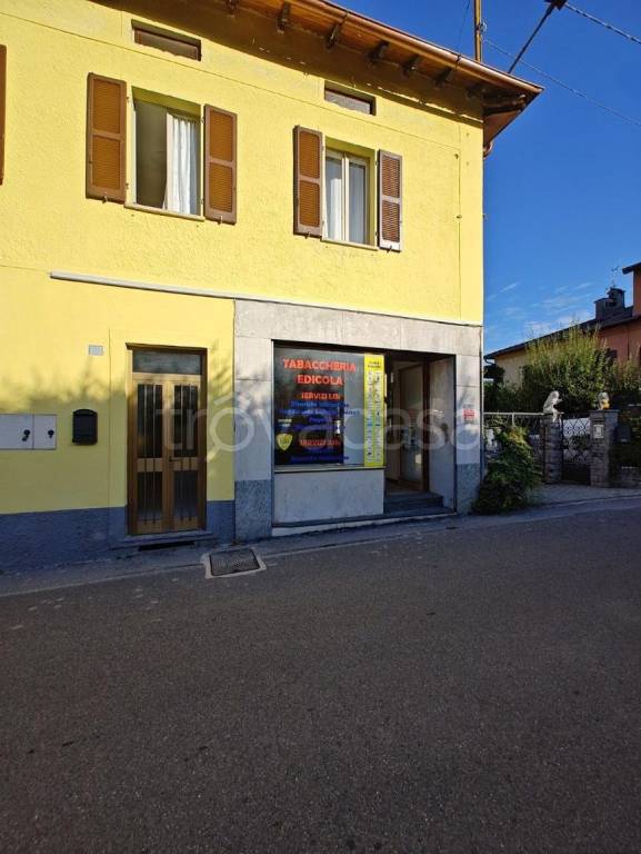 immagine annuncio 12 di 14
