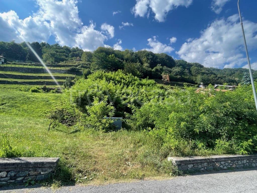 immagine annuncio 2 di 6