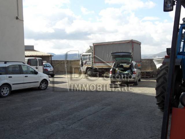 immagine annuncio 7 di 14