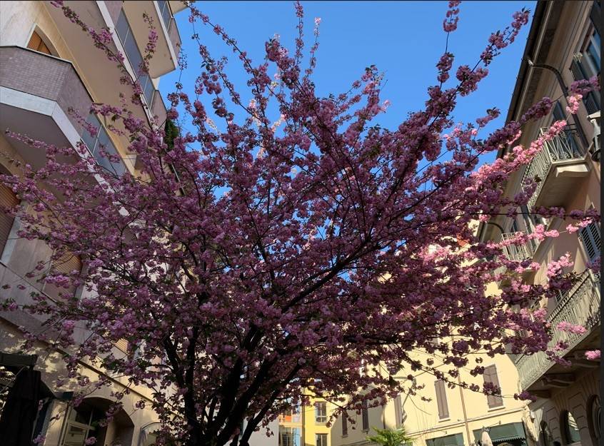 immagine annuncio 3 di 4