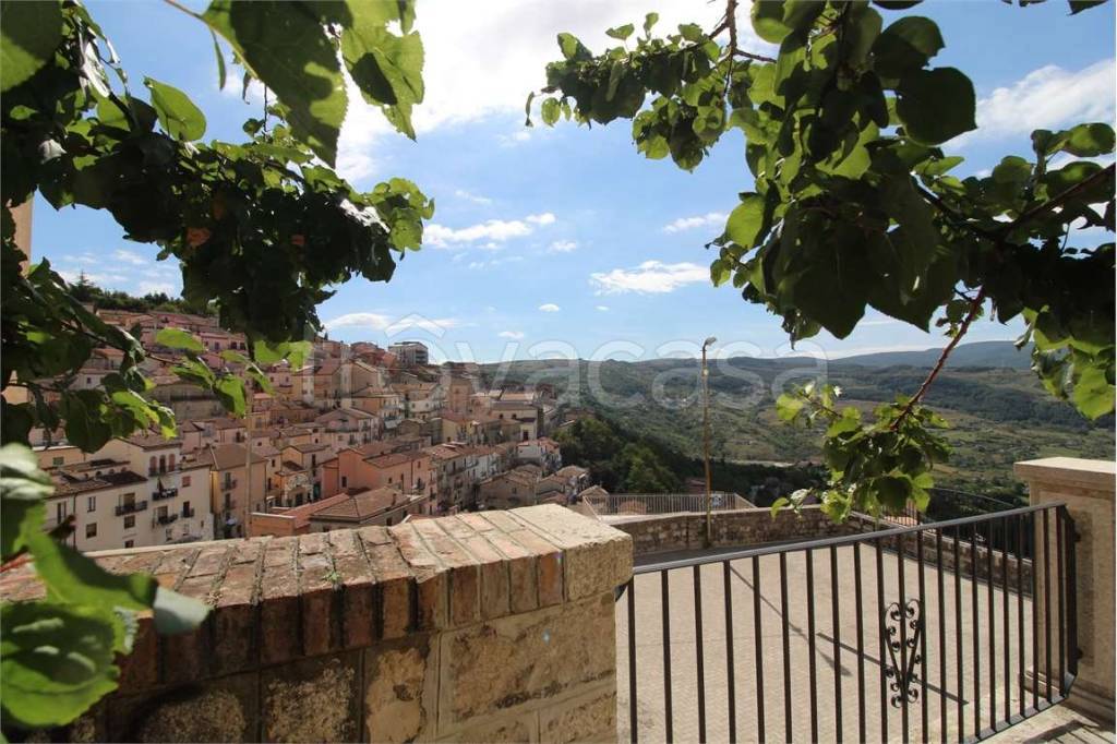 immagine annuncio 12 di 13