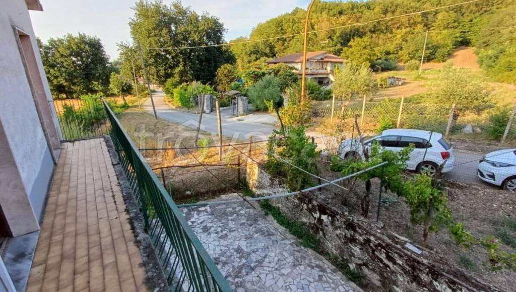 immagine annuncio 5 di 12