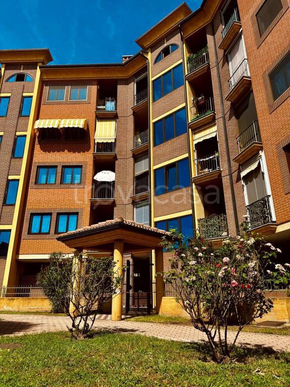 immagine annuncio 9 di 10