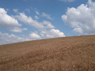 Terreno agricolo in vendita a roseto degli abruzzi via vincenzo cerulli, 12